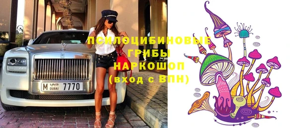 СК Надым
