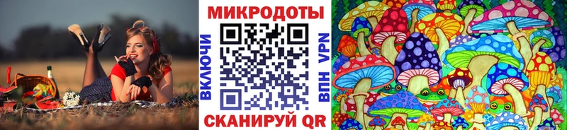 KRAKEN ссылка Фрязино Галлюциногенные грибы Cubensis продажа наркотиков